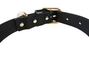 Classic Black Collar - With or without Spikes