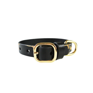 Dripping in Gold Dog Collar - with or without Spikes