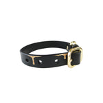 Load image into Gallery viewer, Dripping in Gold Dog Collar - with or without Spikes

